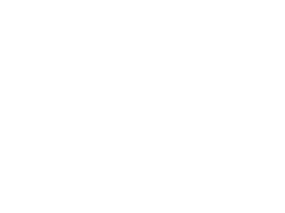 fmo-logo-400x300-wit