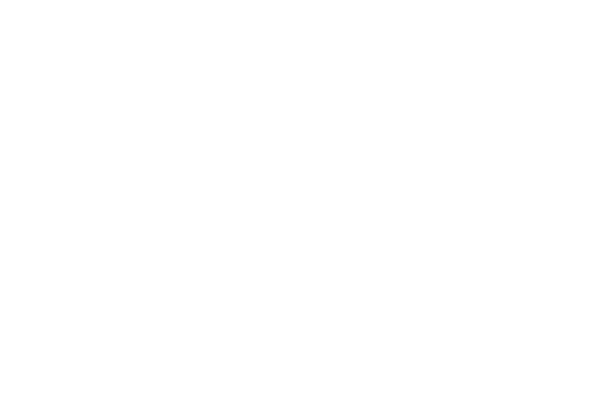 de_brauw