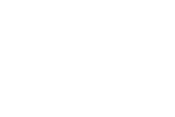 maxxium